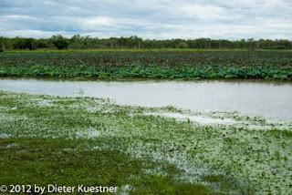 Kakadu National Park - day 1