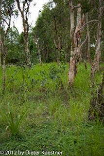 Kakadu National Park - day 1