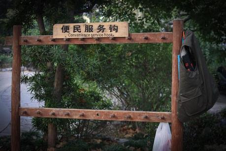 Lu Xun Park morgens um 6: Die beste Attraktion in Shanghai 14