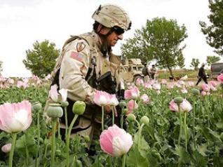 Afghanistan: Deutsche Soldaten sterben für Heroin