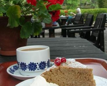 Marbackakaka (Swedish cake with skrädmjöl)  Schwedischer Kuchen mit geröstetem Hafermehl