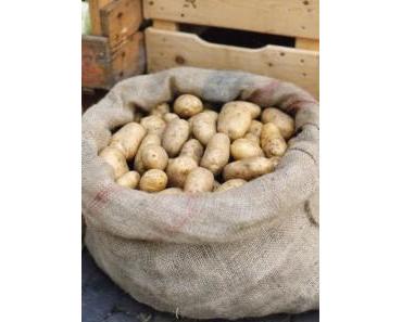 Von Kartoffeln und Glückwünschen