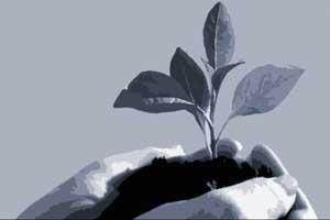 Talentstrategie: Fähiges Personal halten durch Talentmanagement