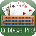 Cribbage Pro Online! – Eine Mischung aus Karten- und Brettspiel