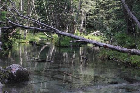 Glasklares Wasser in den Kärtner Bergen