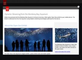 Sea TV – schauen Sie per Live Stream in das Monterey Bay Aquarium