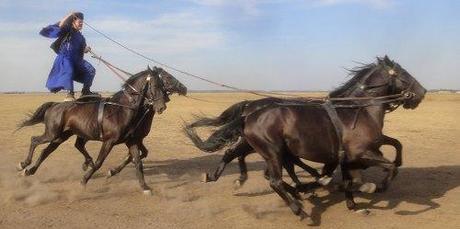 Ungarn: Männer stehen auf Pferde