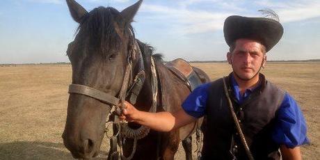 Ungarn: Männer stehen auf Pferde