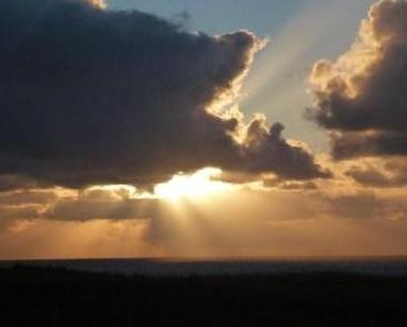 Schafseliges Vertrauen