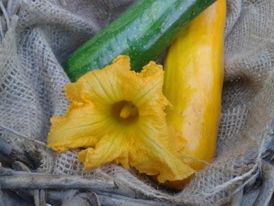 Zucchini 3erlei und ein Grund zu feiern