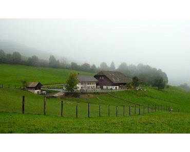 wallpaper-1689754