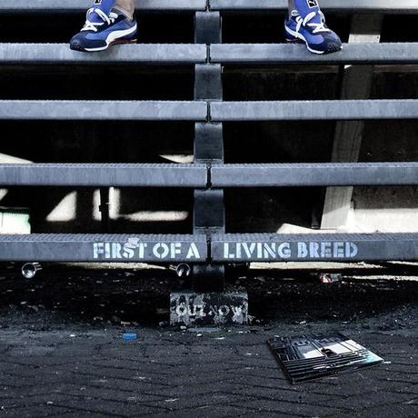 Homeboy Sandman – First of a Living Breed OUT NOW [Stream x Download]