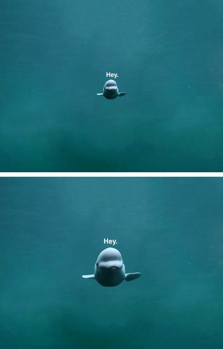 Hey,hey,hey …