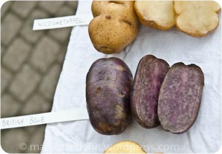 Ein verlassenes Kürbisfeld und die Kartoffel-Ausstellung zum Erntedankfest