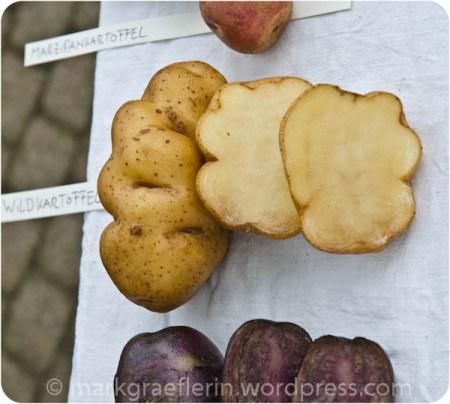 Ein verlassenes Kürbisfeld und die Kartoffel-Ausstellung zum Erntedankfest