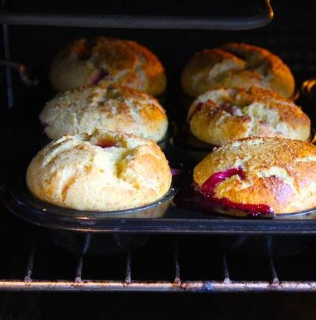 Topfen-Grieß-Muffins mit Zwetschgenfüllung