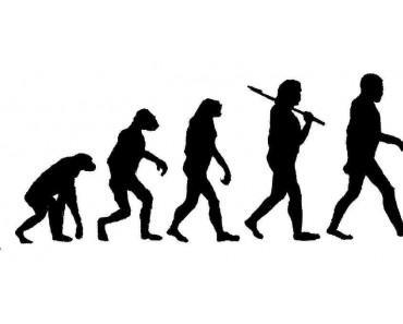 Häufige Einwände gegen die Evolution und ihre Widerlegungen