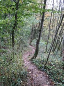 steile Trails in´s Tal