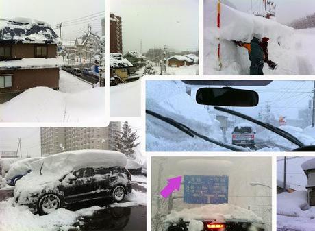 Schneeland Echigo Yuzawa - Niigata 新潟県