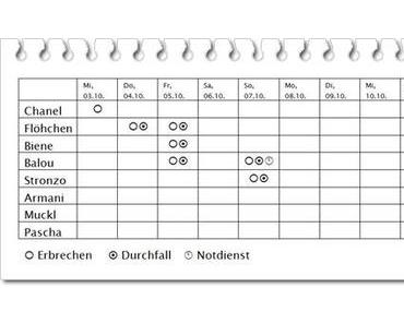 Die letzten Tage (in Bildern)