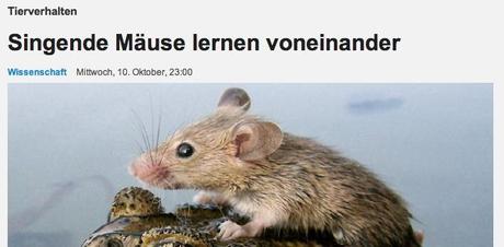 NZZ.ch Artikel “Singende Mäuse lernen voneinander”.