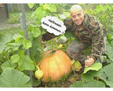 Michele Angelo / Halloween kann kommen