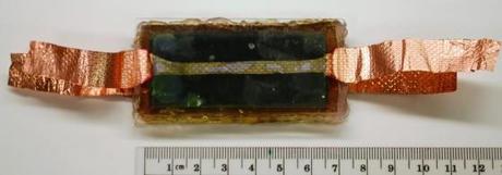 Biologische Solarzellen aus Spinat