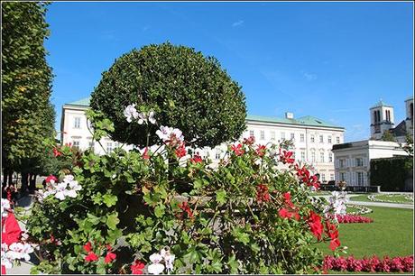 Salzburg - Mirabellengarten - beautiful flowers everywhere