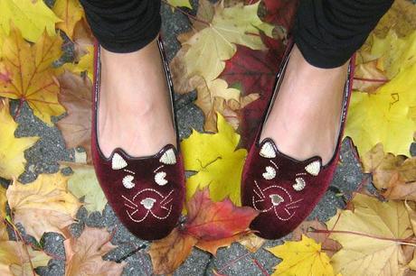 Wednesday to go: Tiger Shirt and Kitten Shoes