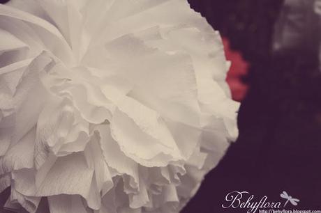 {DIY} PomPoms