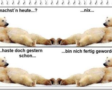 9 Tage kein Wecker! ツ