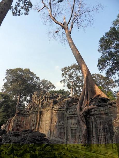 Reisereportage: Angkor I