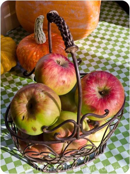 Aus meinem Garten Ende Oktober: Apfelernte und 165 Liter eigener Bio-Apfelsaft