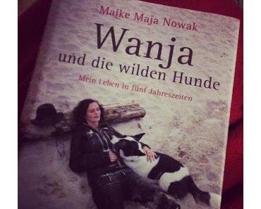 Sonntagslektüre
