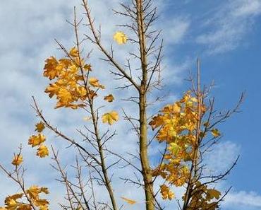 M wie Montag oder …