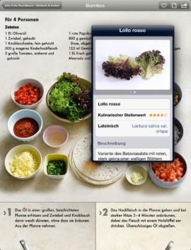 Das Foto-Kochbuch – Einfach & lecker, der private Kochkurs auf dem iDevice