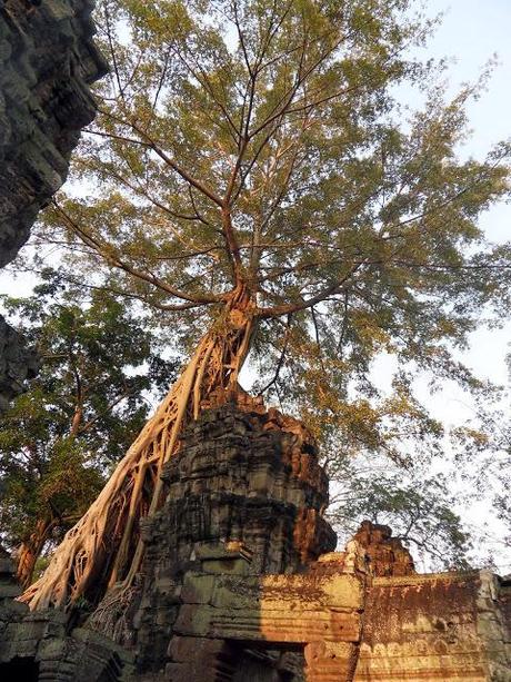 Reisereportage: Angkor II