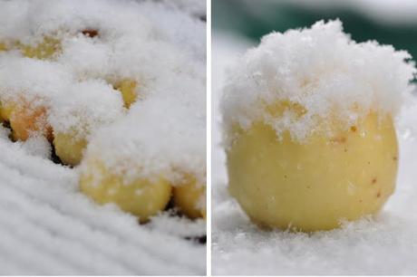 Apfel mit Schneehäubchen