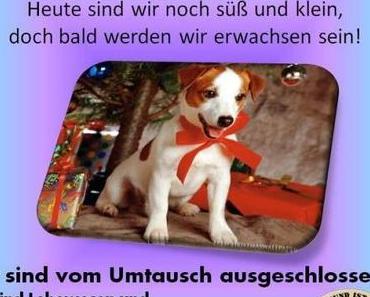 Alle Jahre wieder … erst denken, dann schenken!