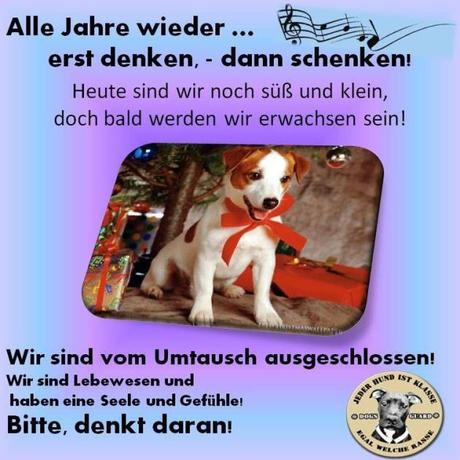 Alle Jahre wieder … erst denken, dann schenken!