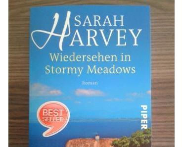 Wiedersehen in Stormy Meadows von Sarah Harvey