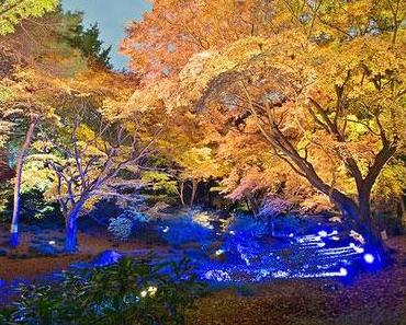 Die Schönheit des Herbstes im Garten Rikugi-en