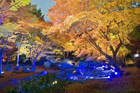 Die Schönheit des Herbstes im Garten Rikugi-en
