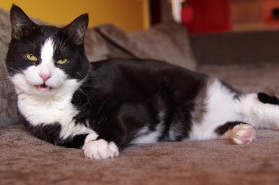 [Life] Random Pictures III