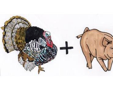 Thanksgiving: Der Truthahn taut gerade auf!