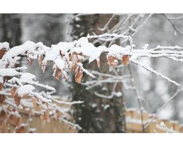The First Snow.