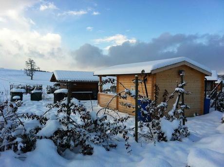 wintergarten
