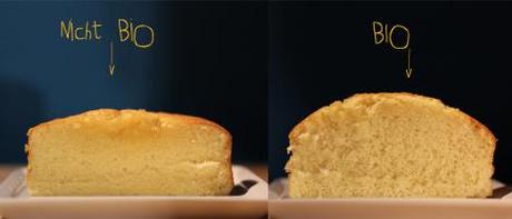 Cake cut_ bio vs nonbio