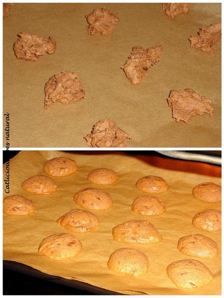 Double Choc Cookies [Bakery]