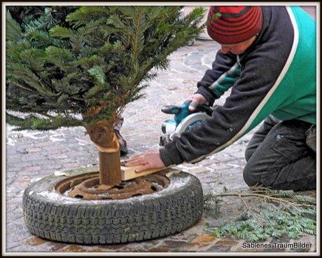 Mann sägt an einem Weihnachtsbaum herum